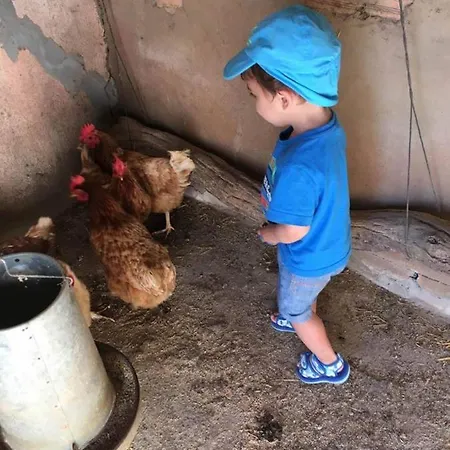 Casa Rural-granja * קוניל דה לה פרונטרה